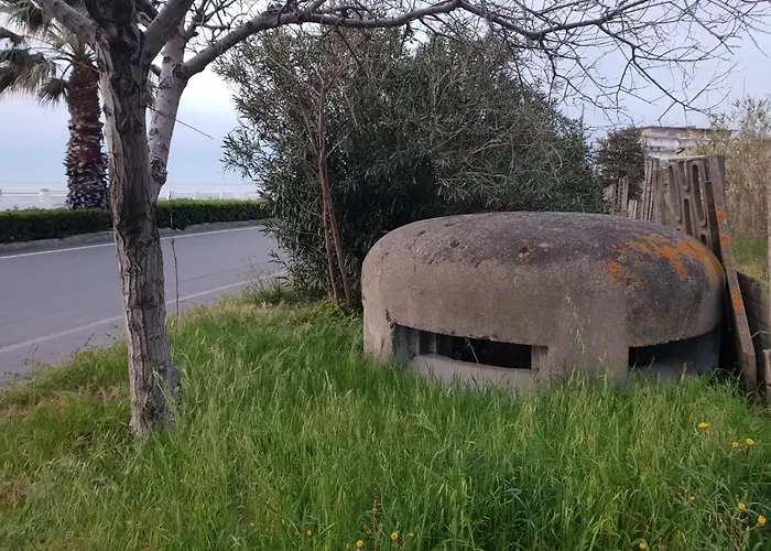 Una Finestra Sul Glicine